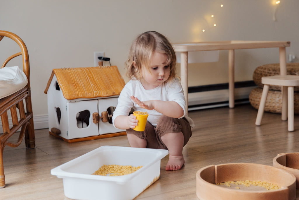 Feeding The Senses Helps Regulate Emotions: Part 1